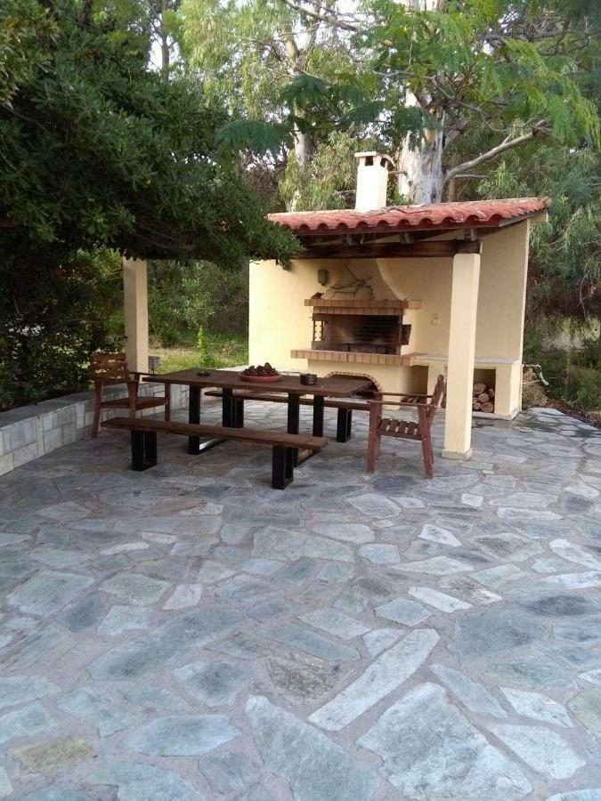 Villa Palmyra Pogonia Luaran gambar